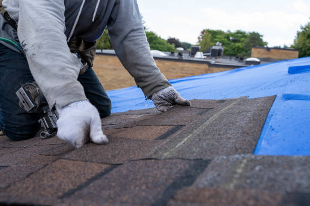 Best Roof Replacement Cost  in Jamestown, TN